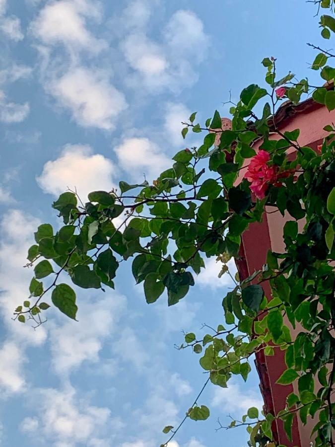 Rooms Kuljic Budva Exterior foto